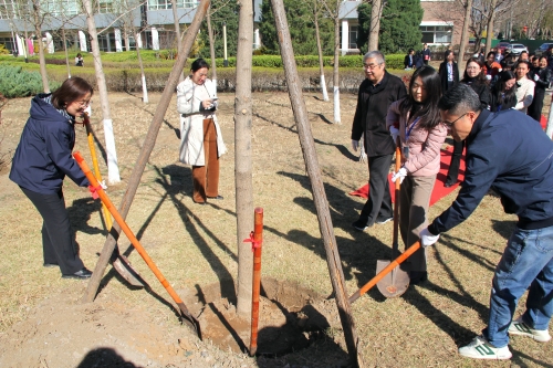 公司園區(qū)“同心林”共同栽下同心樹(shù)苗